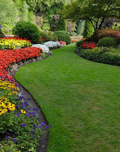 Gardening & Landscaping Gardening & Landscaping