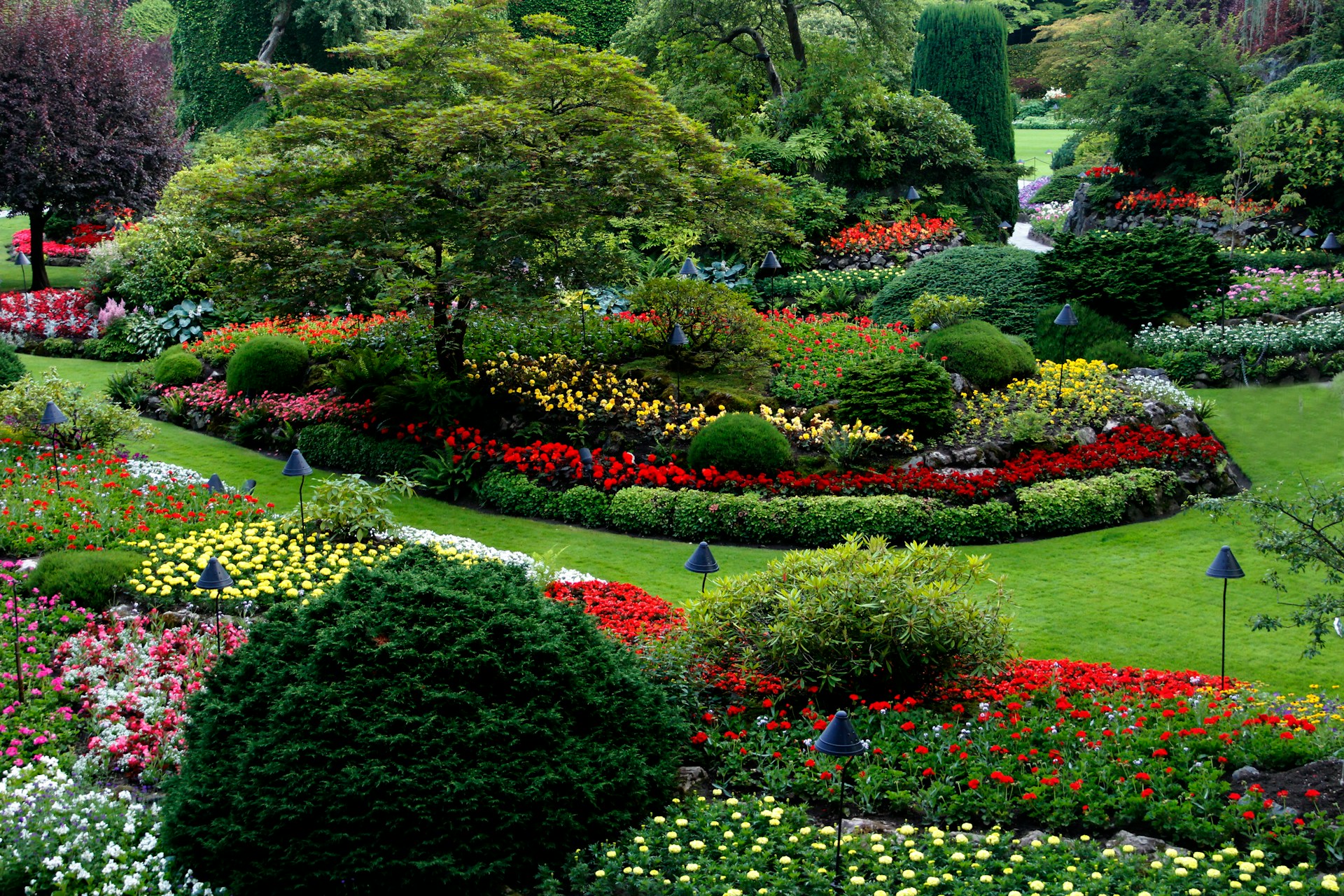 Gardening & Landscaping